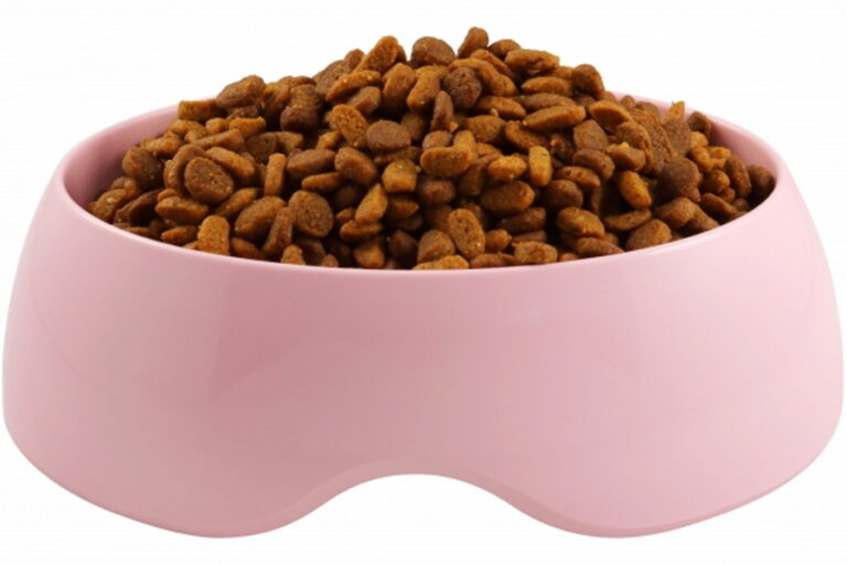 猫に置き餌は太る？置き餌のデメリット・やめたいときの切り替え方！ ペットと飼い主のためWEBメディア│petally